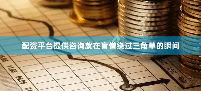配资平台提供咨询就在盲僧绕过三角草的瞬间