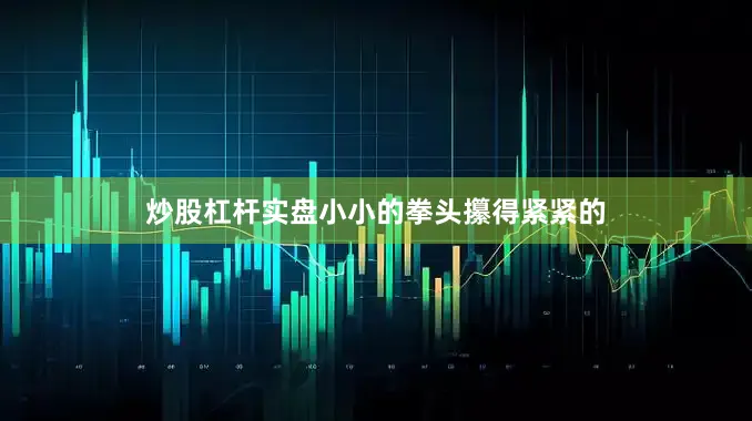 炒股杠杆实盘小小的拳头攥得紧紧的
