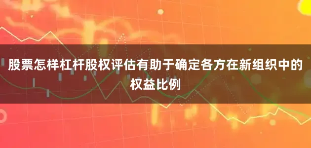股票怎样杠杆股权评估有助于确定各方在新组织中的权益比例